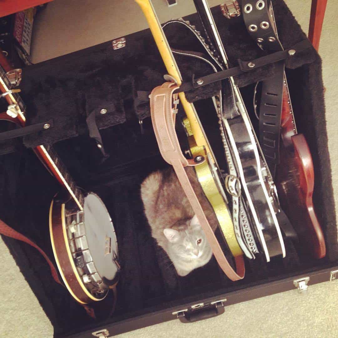 Emma the cat keeping the instruments warm at Spatula Ranch Studios